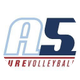 A5 Mizuno Volleyball