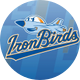 Aberdeen IronBirds