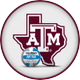Texas A&M Volleyball