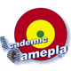 Academic Gameplan
