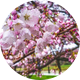 OhioULibraries
