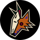 Arizona Coyotes