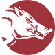 Arkansas Razorbacks 🐗