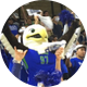 Azul the Eagle
