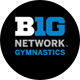 Big Ten Gymnastics