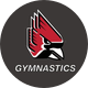 BallState Gymnastics