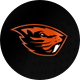 Oregon State Hoops