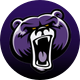 Bellevue University Baseball