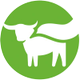 Beyond Meat