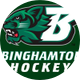 Binghamton Club Hockey