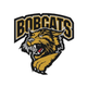 Bismarck Bobcats