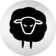 Black Sheep Racing