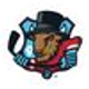 Bloomington Bison