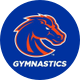 Boise State Gymnastics