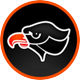 Bethel Park High School Football