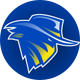 Brisbane Bandits
