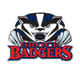 Brock Badgers