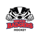 Brock Badgers Women's Hockey