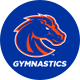 Boise State Gymnastics