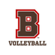 Brown Volleyball