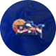 Baloncesto Superior Nacional