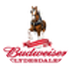 Budweiser Clydesdales