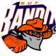 BUFFALO BANDITS