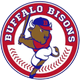 Buffalo Bisons🦬