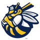 Burlington Bees