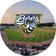 Burlington Bees Official