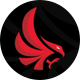 Calgary Surge