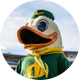 Call Me a Duck