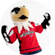 Slapshot