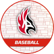 Carthage Baseball