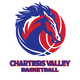 Chartiers Valley Basketball