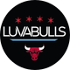 Chicago Luvabulls