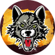 Chicago Wolves