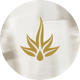 Cincoro