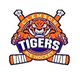 Clemson Ice Hockey