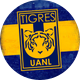 Club Tigres English