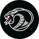 Cobras Basketball Club
