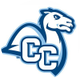 Conn College Mens Lacrosse