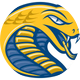 Coker Men's Basketball