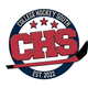 College Hockey South