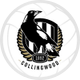 Collingwood Super Netball