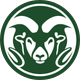 Colorado State University