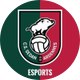 CSSA eSports