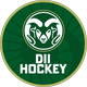 CSU D2 Hockey