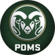 CSU Golden Poms
