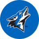 CSUSB Coyotes